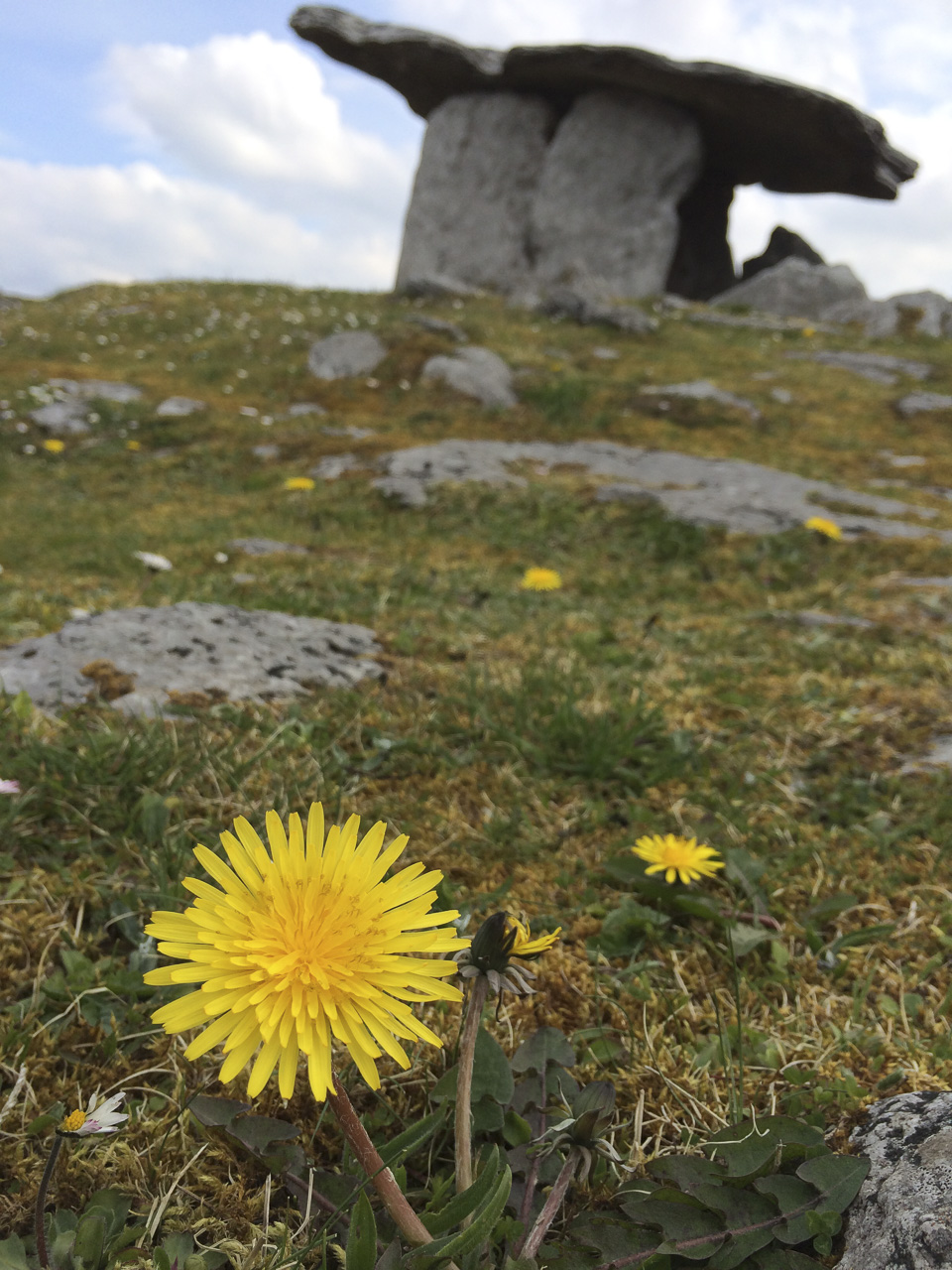 Poulnabrone Dolmen Tourist site