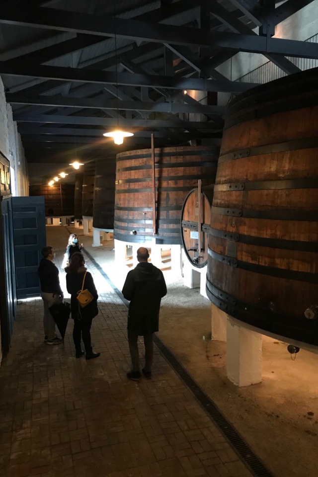 wine barrels on tour of douro valley portugal