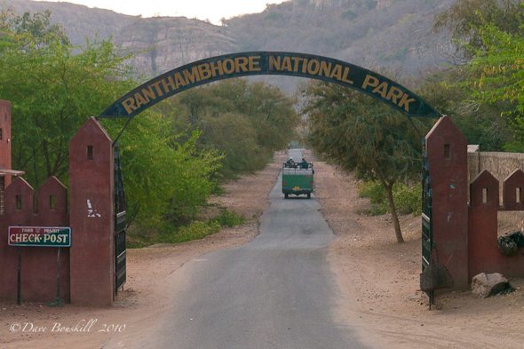 Ranthambore, Where Have all the Tigers Gone?