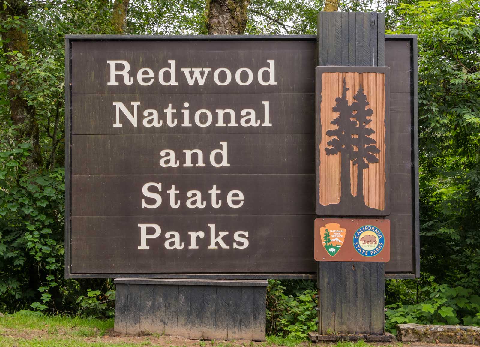 Redwood National Park Guide Park Entrance