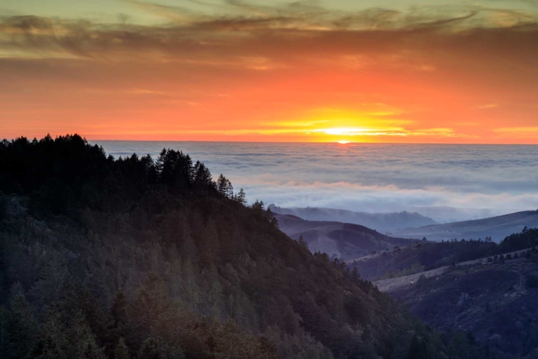 The Complete Guide to Visiting Redwood National Park - The Planet D