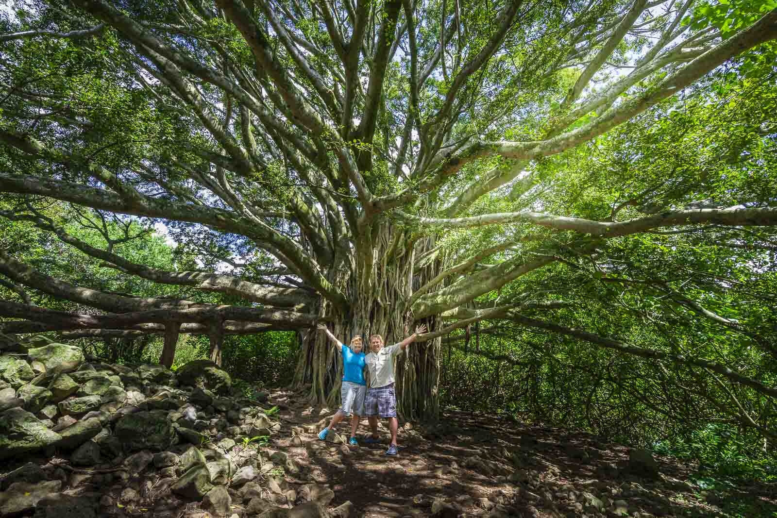 Pipiwai Trail Hana Maui