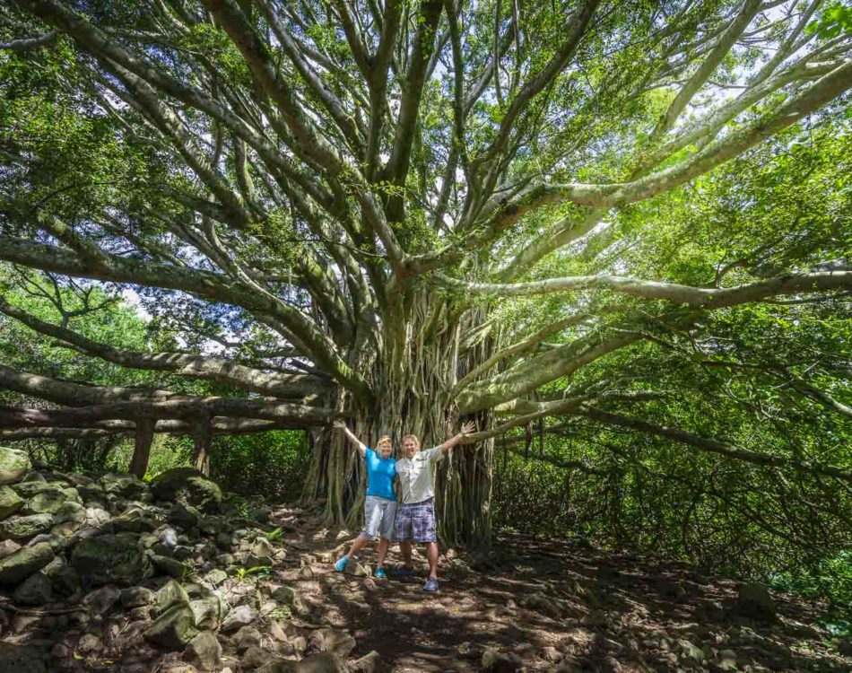 Top 12 Hikes in Maui to Take your Breath Away