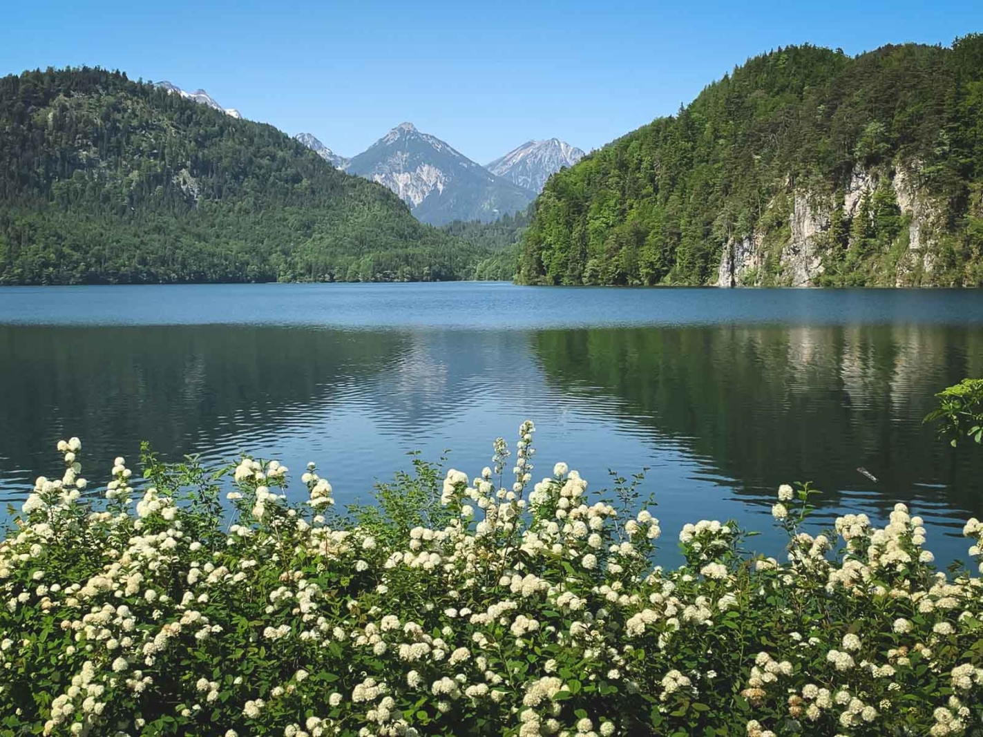 lake alpsee bei Schwangau romantic road stops