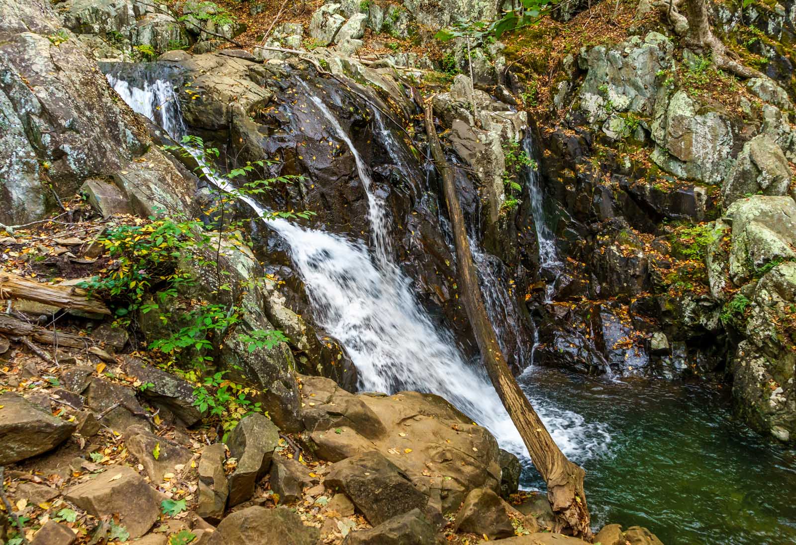 Rose River Falls Trail Hikes in Shenandoah National Park