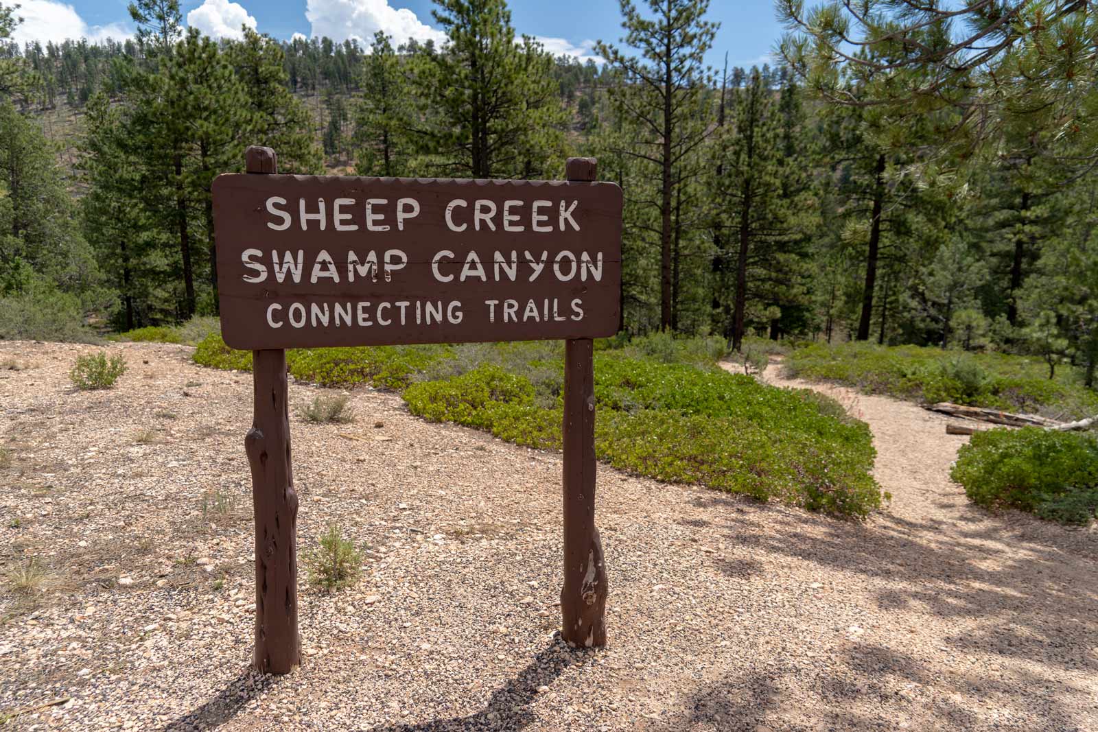 Sheep Creek and Swamp Canyon Bryce Canyon