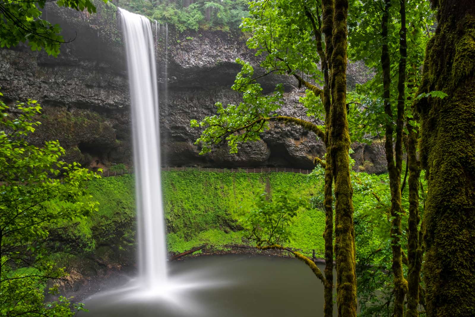 Silver Falls State Park in Oregon