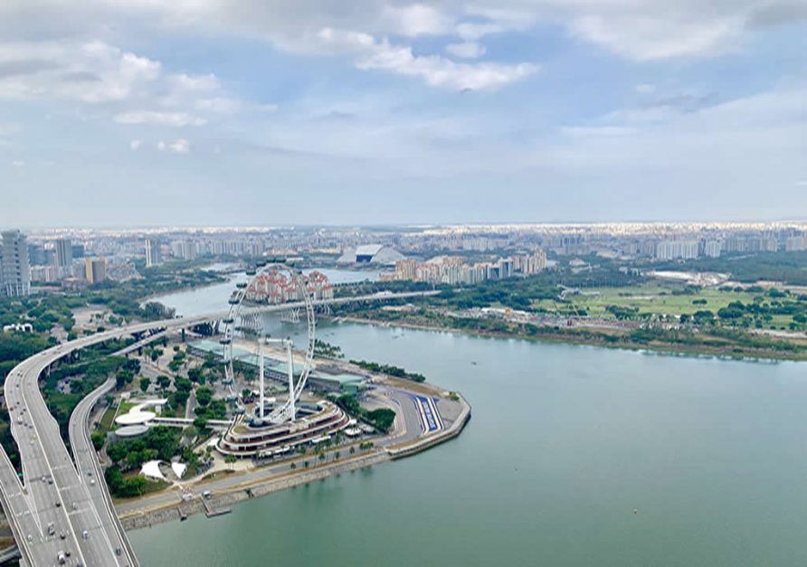 Singapore Flyer View