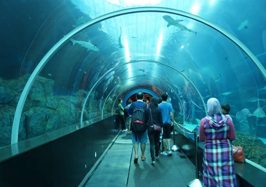 À l'intérieur du S.E.A. Aquarium de Singapour