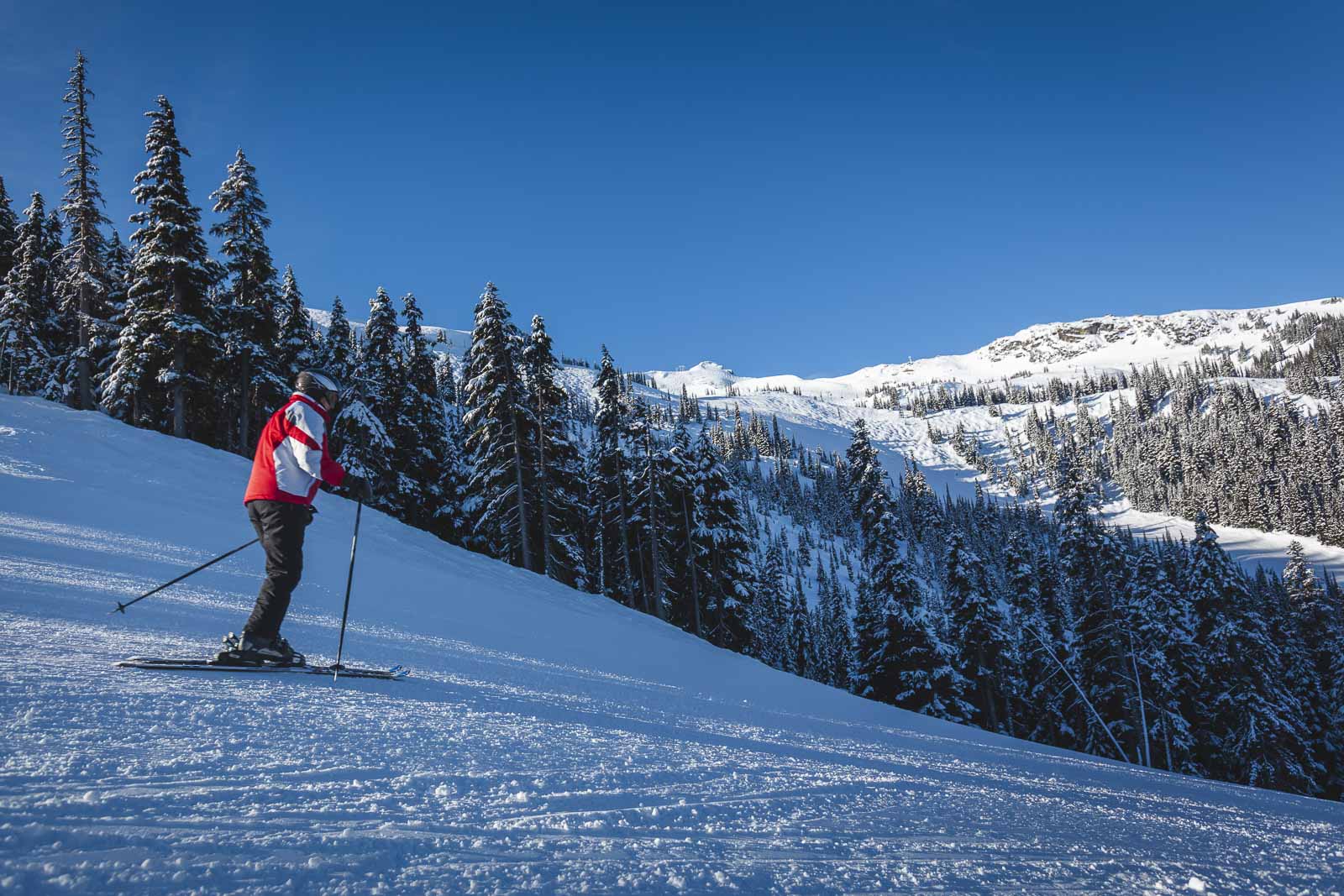 Top Ski Resorts in Canada Fernie BC
