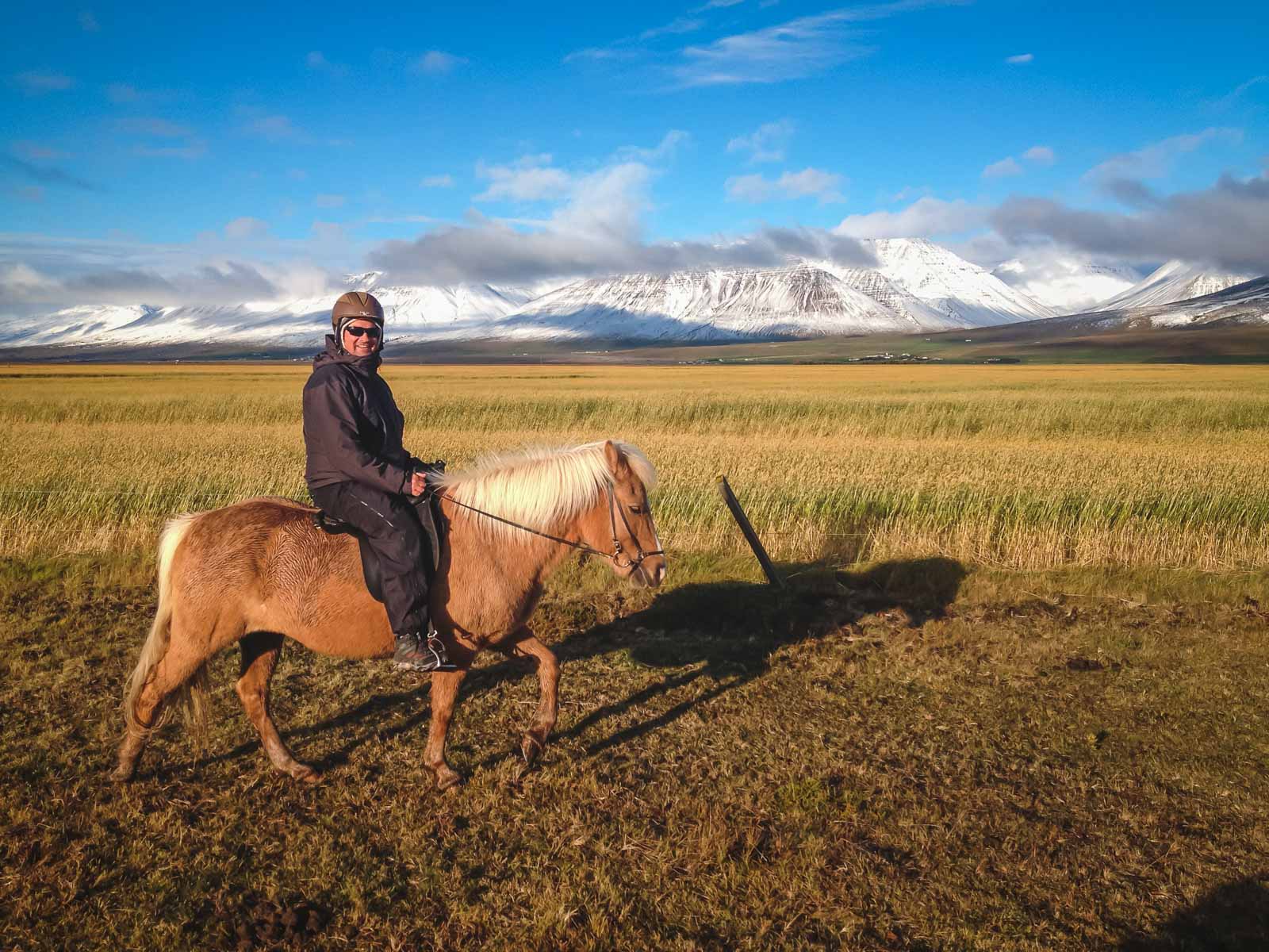 South Coast of Iceland Horseback Riding