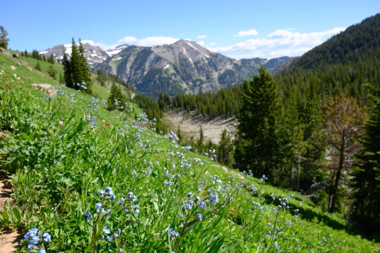 12 Best Hikes in Yellowstone National Park | The Planet D