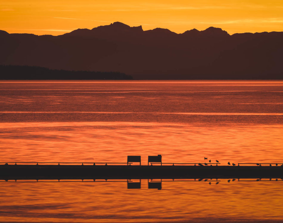 Ultimate Things to do on A Sunshine Coast Road Trip