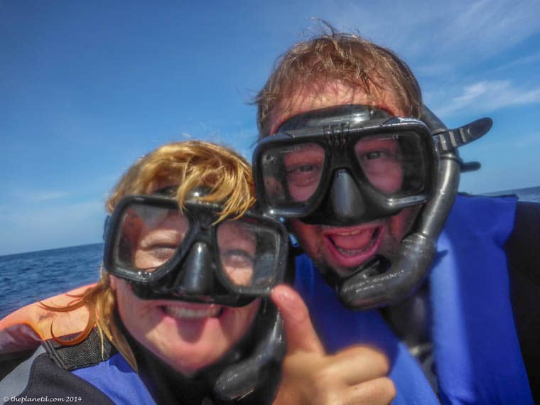 Swimming-with-Whale-sharks-mexico-dave-deb