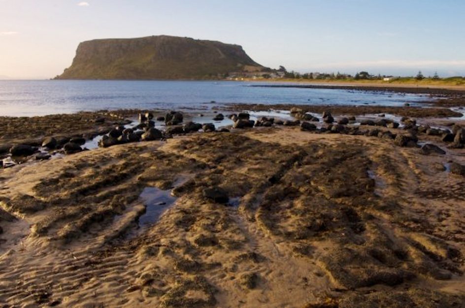 the nut | tasmania