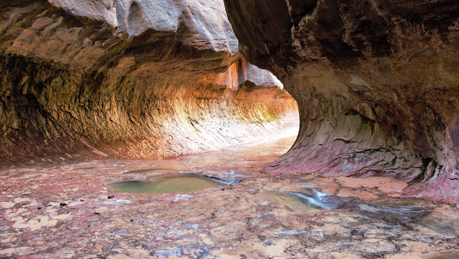 The Subway Hike in Zion National Park