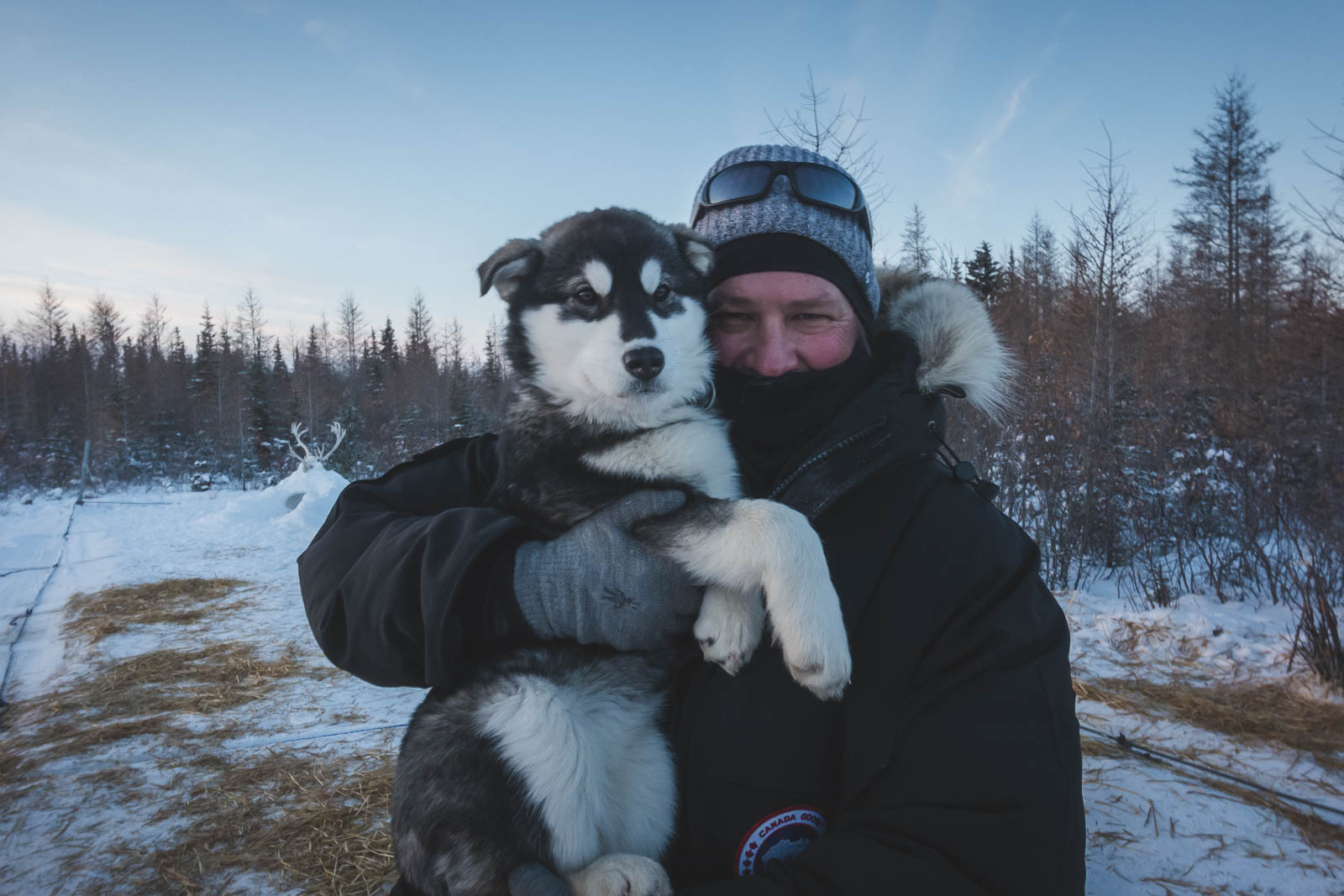 Dog Sledding in Churchill