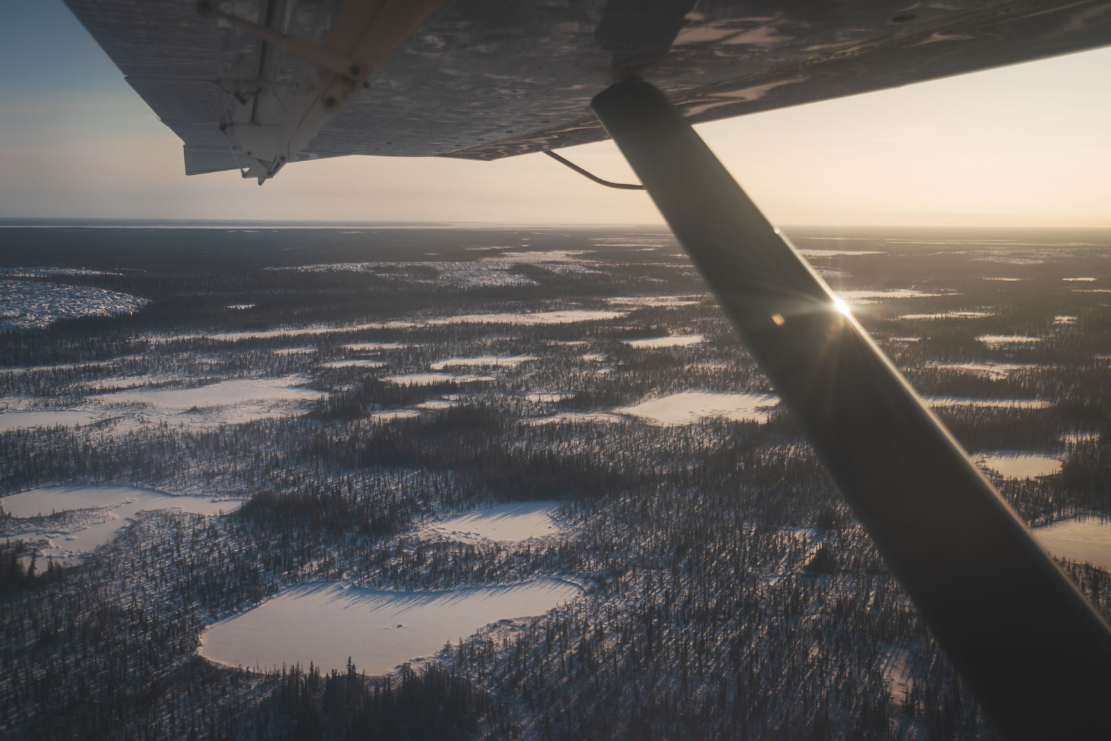 Wapsuk National Park near Churchill Manitoba