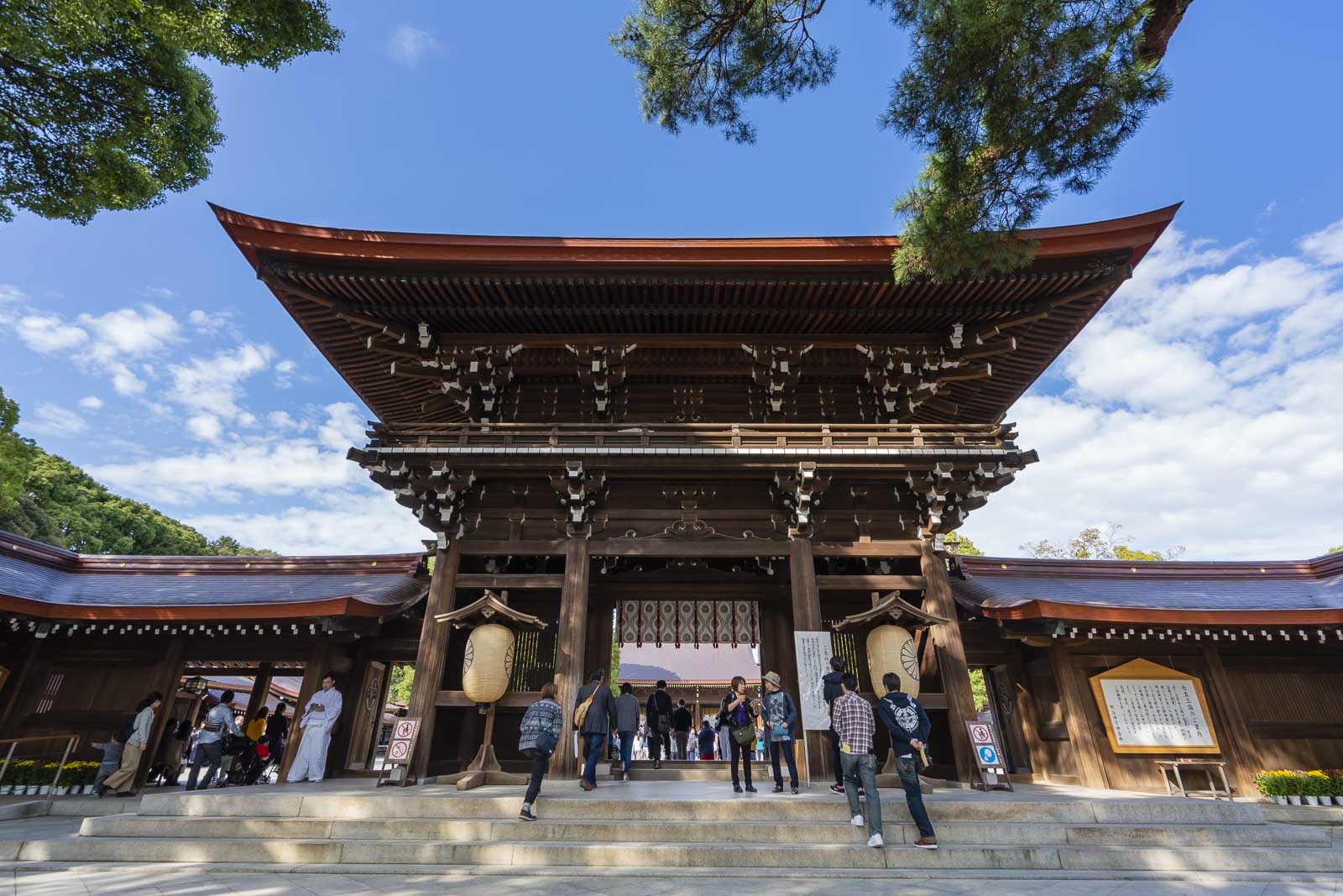 tokyo things to do meiji shrine