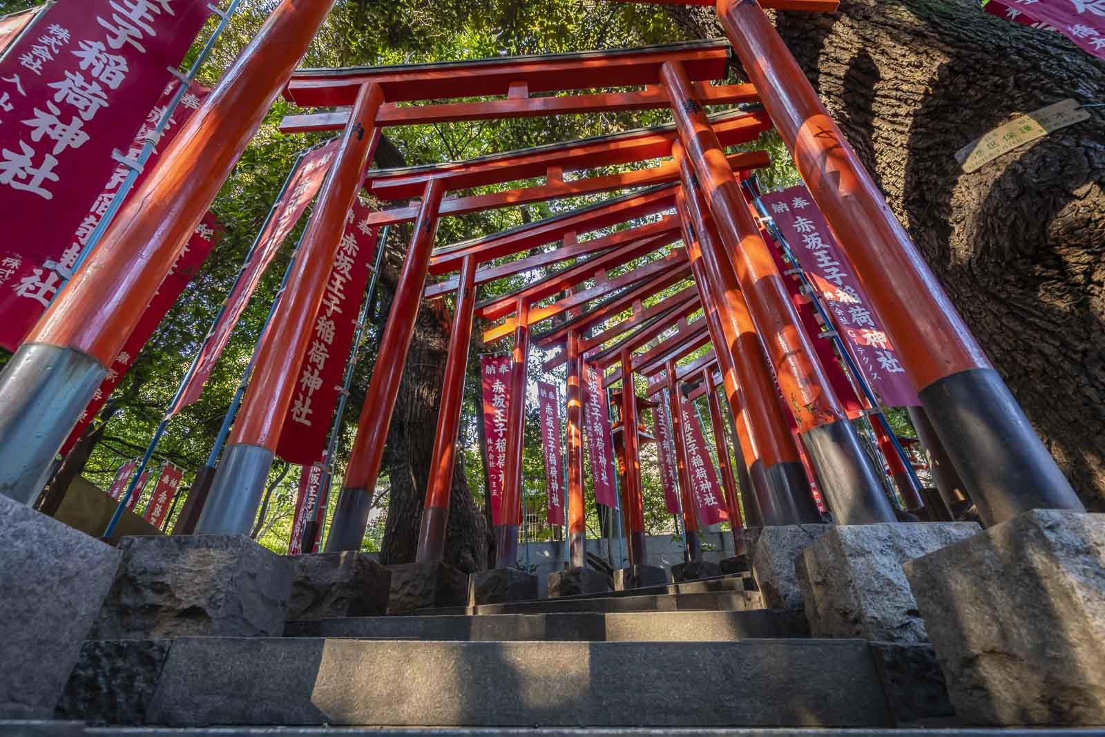 top things to do in tokyo nogi shrine