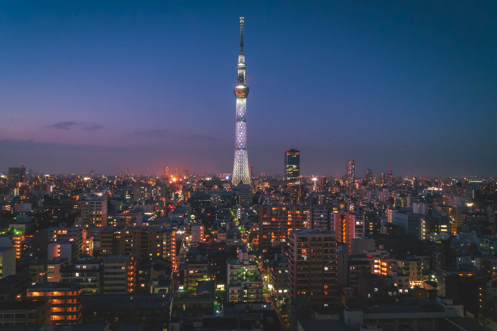 the best things to do in tokyo japan