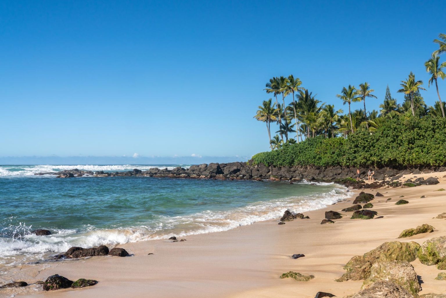 The Best Things to do in Oahu, Hawaii The D