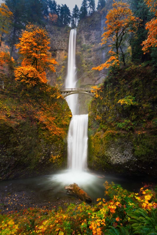 places to visit in oregon Multnomah Falls