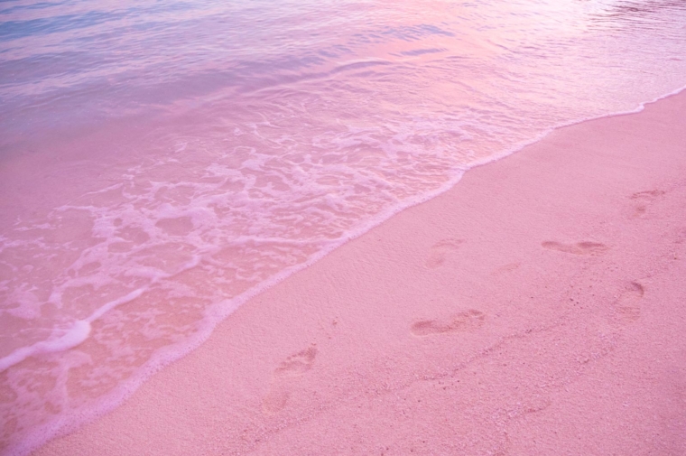 31 Best Things to Do In The Bahamas - The Planet D