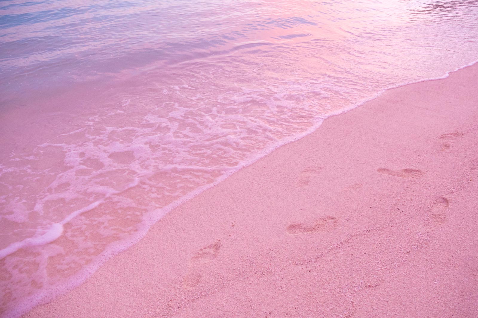 things to do in the bahamas Pink Sands Beach in the Bahamas