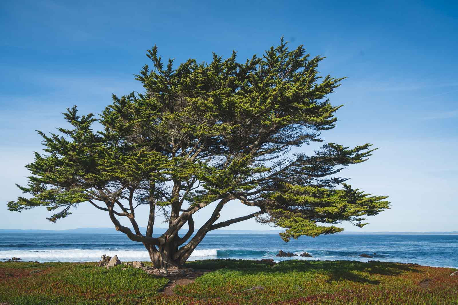Things to do in Carmel By the Sea
