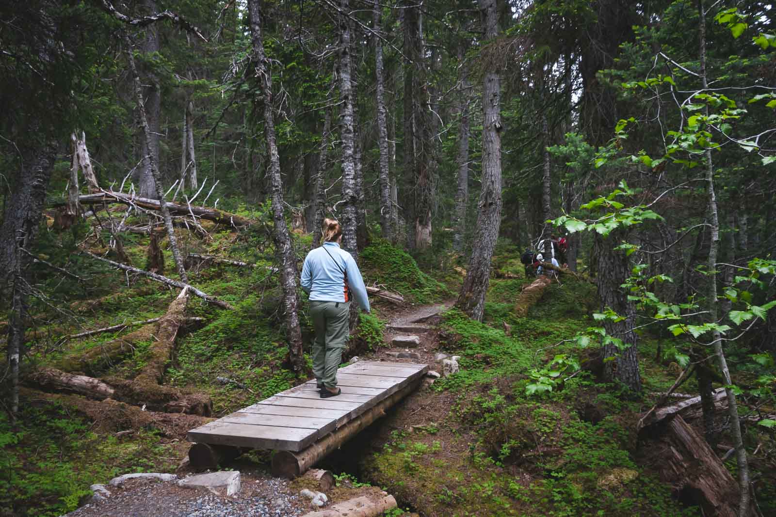 Hiking Trails in Juneau Alaska