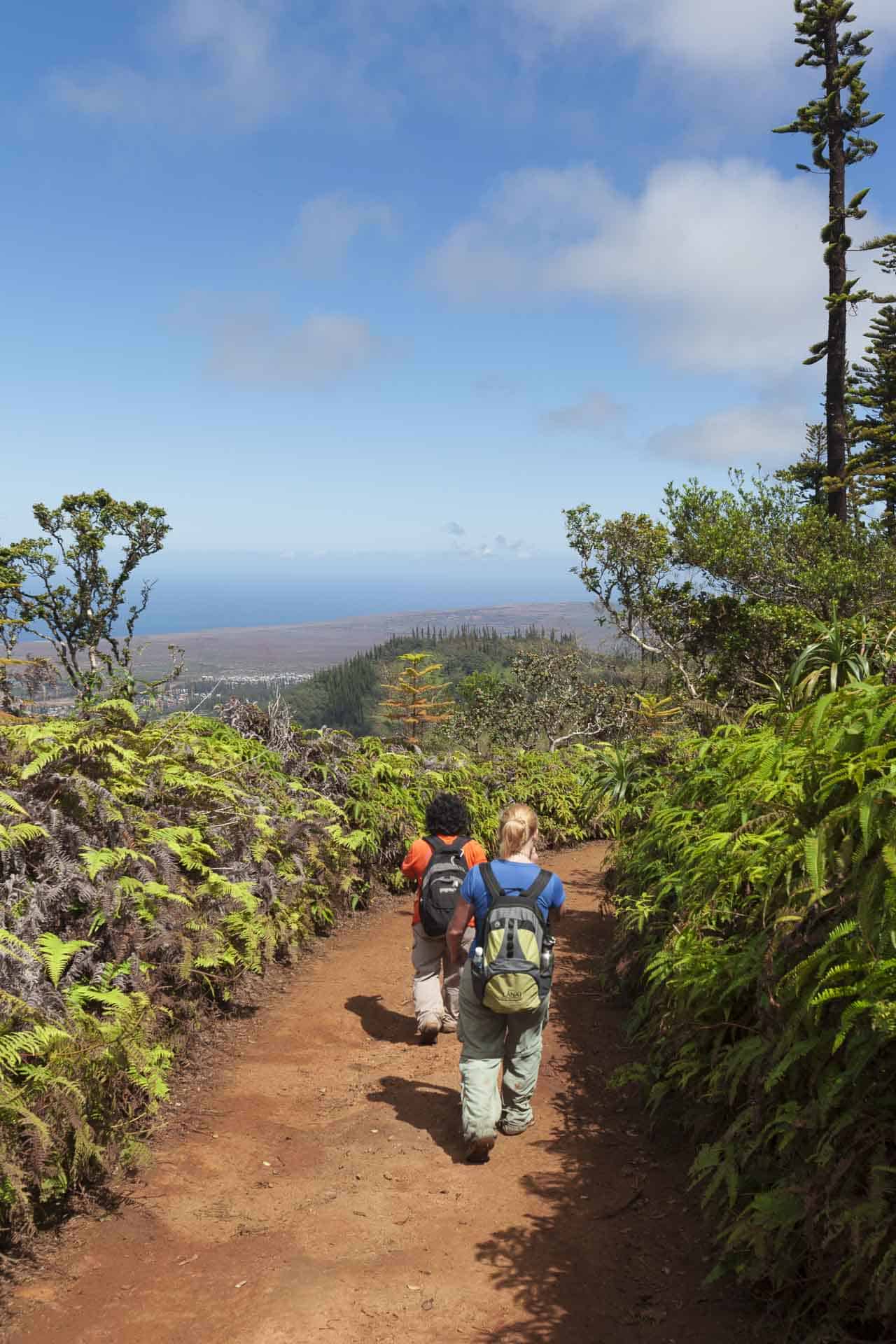 hiking in lanai 