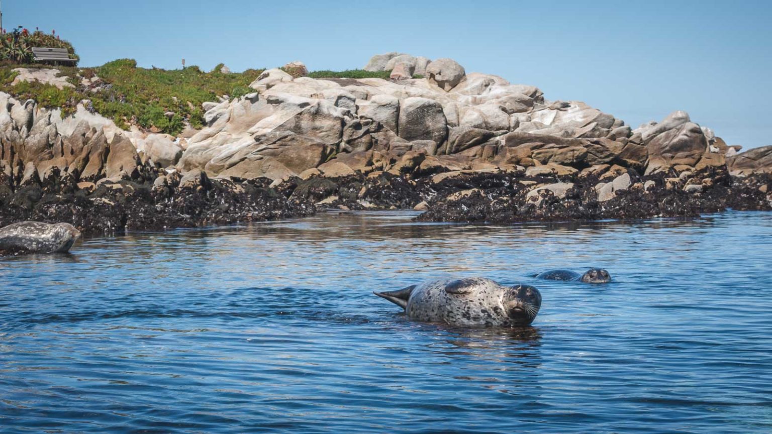 20 Great Things To Do In Monterey California The Planet D 6808