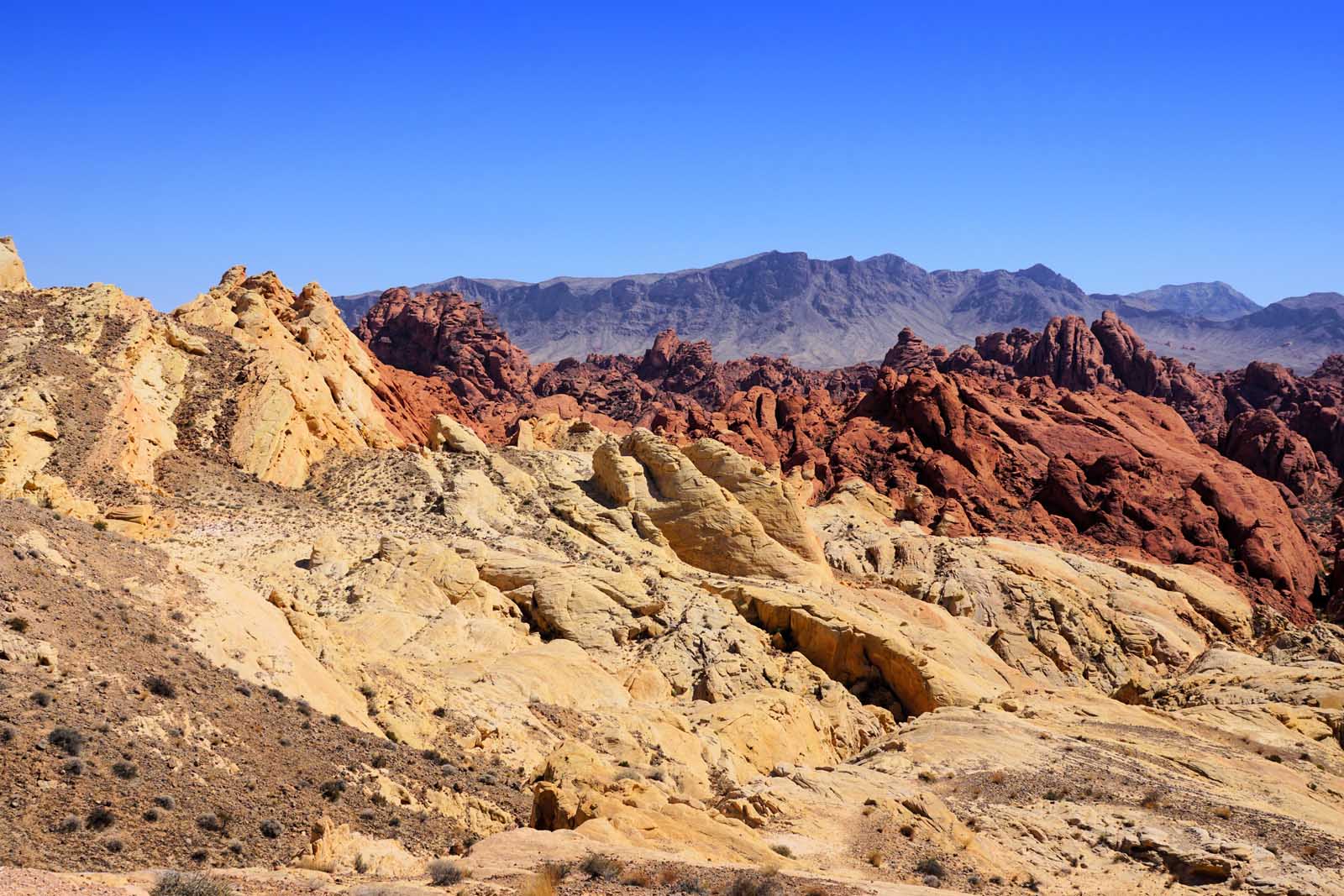 Things to do in The Valley of Fire Nevada Fire Canyon