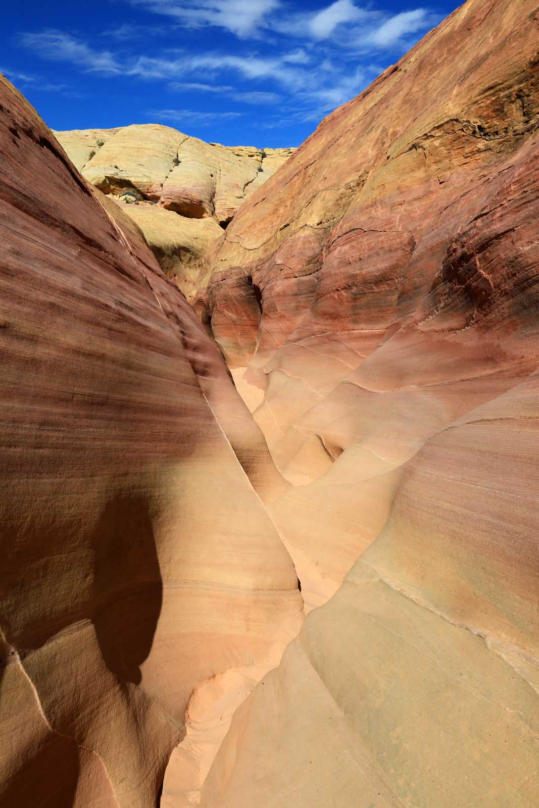 Pink Canyon Things to do in the Valley of Fire Nevada