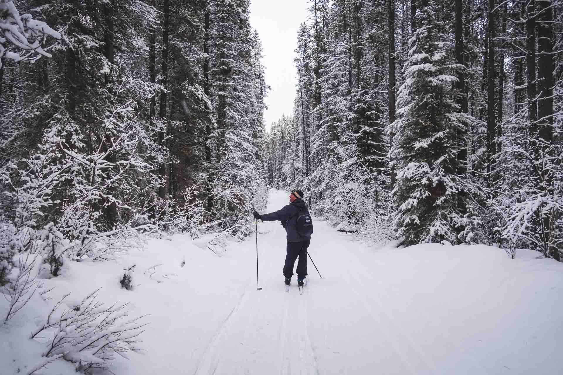 cross country skiing alberta