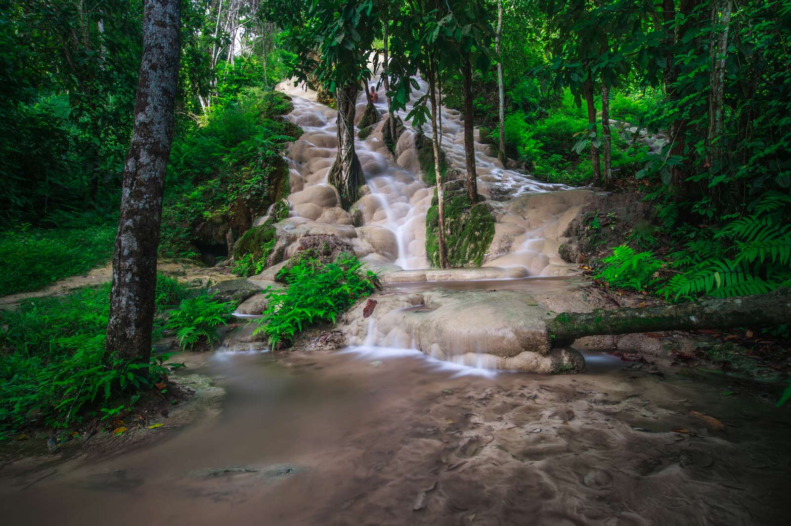 Best Things to do in chiang Mai Sticky Waterfall