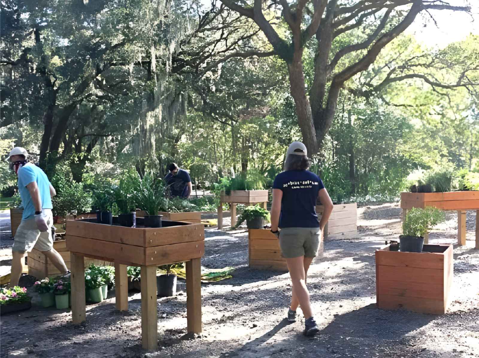 Things to do in Jacksonville Arboretum Botanical Gardens Raised Flower beds