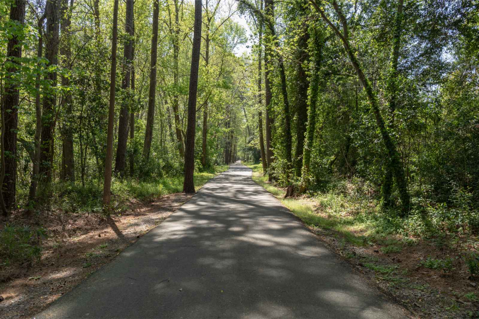 Things to do in Jacksonville Baldwin Rail Trail Park