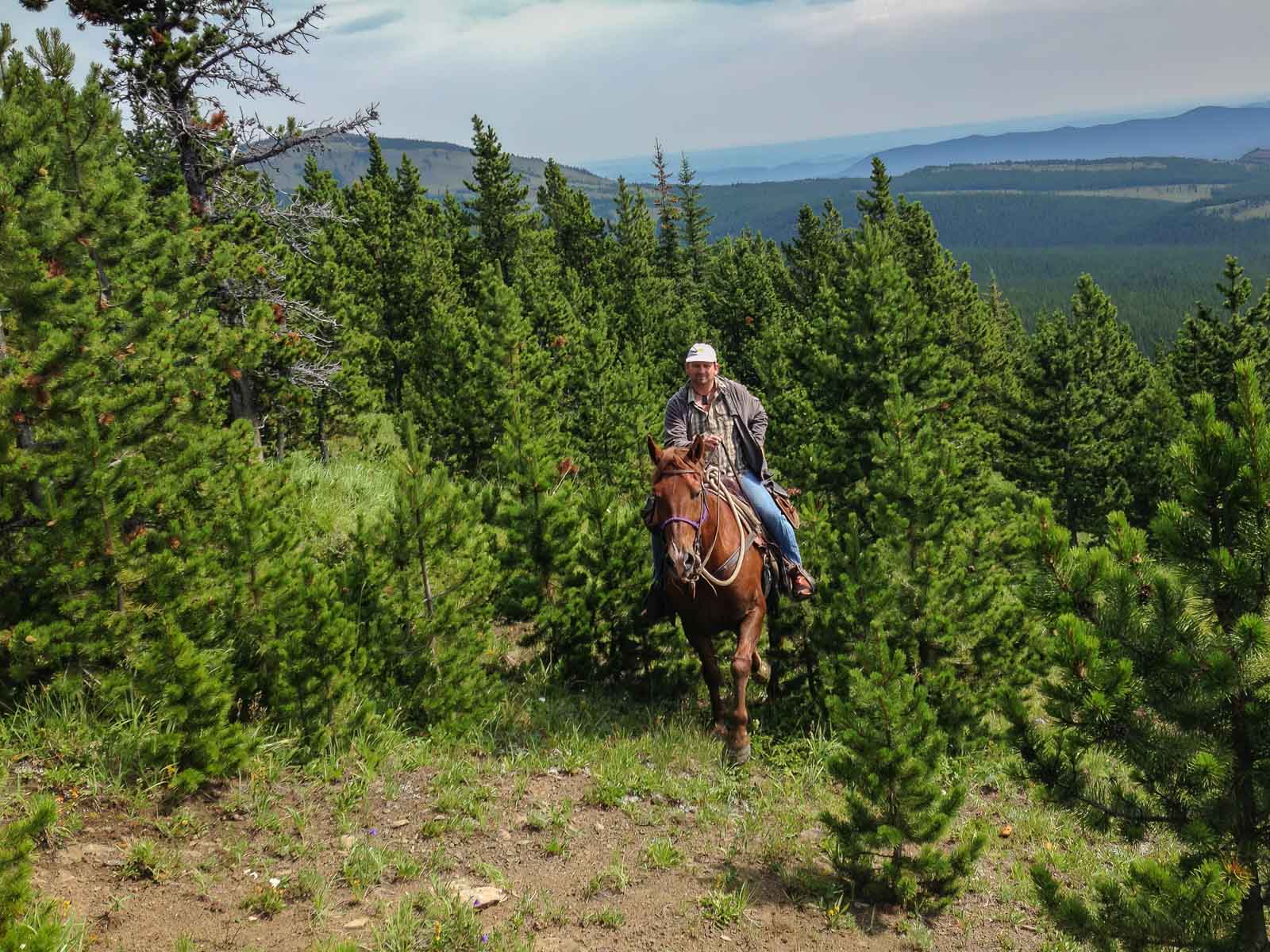 Things to do in Jasper National Park Horseback Riding