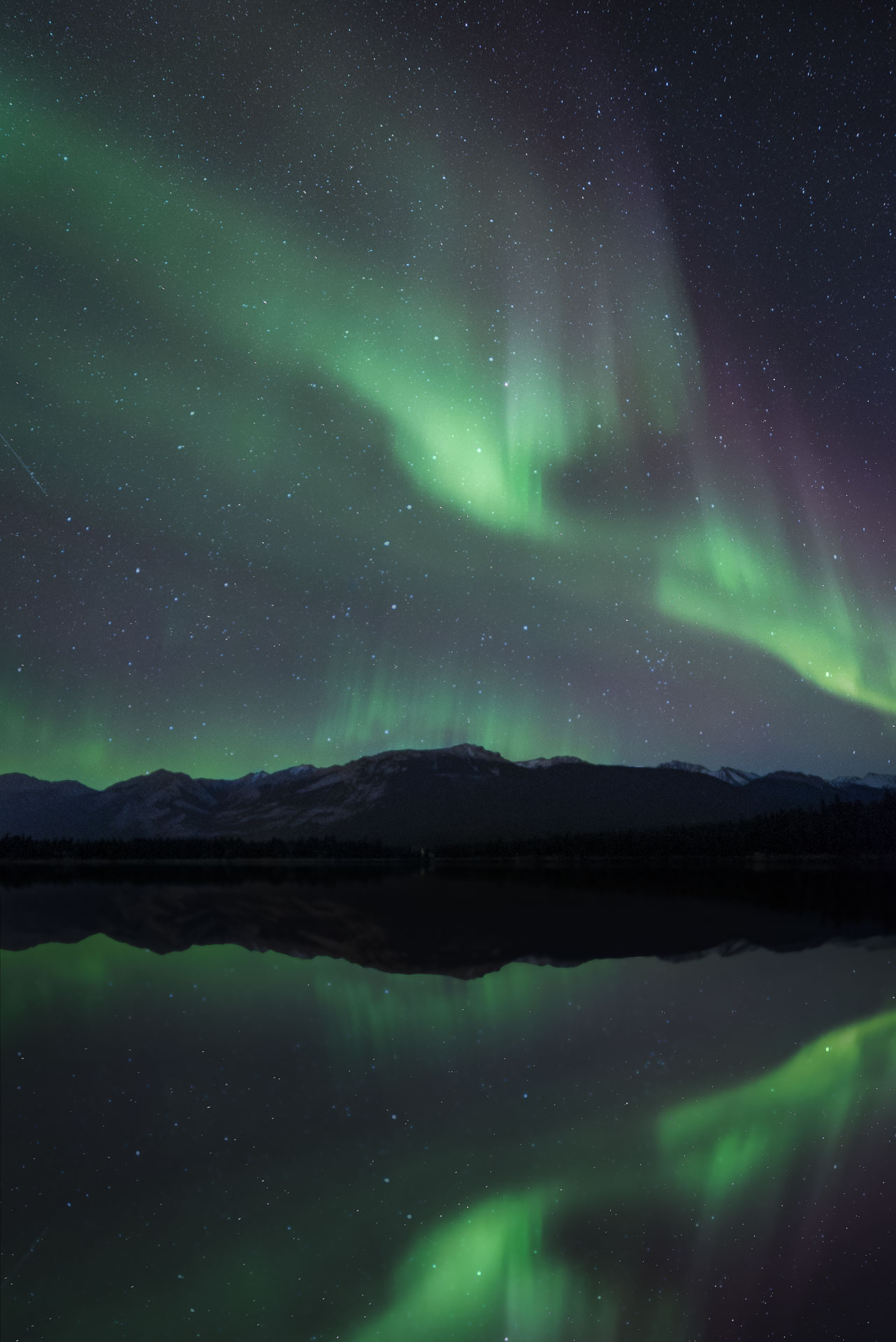 jasper dark sky festival northern lights