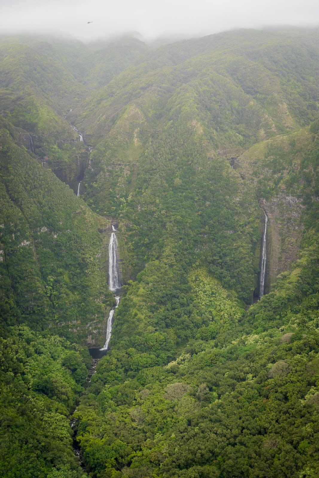 Witness the beauty of Mount Waialeale in Kauai