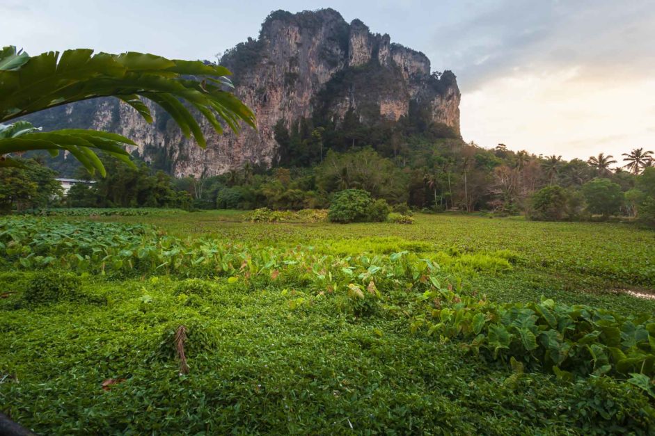 fields in ao nang - krabi attractions