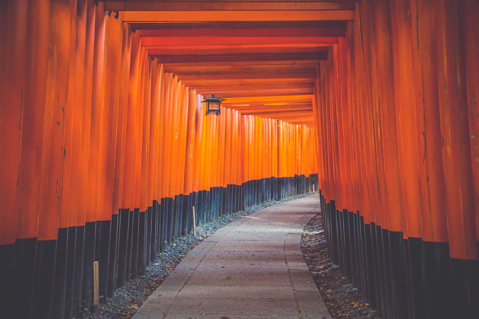Things to do in Kyoto Japan Fushimi Inari Shrine