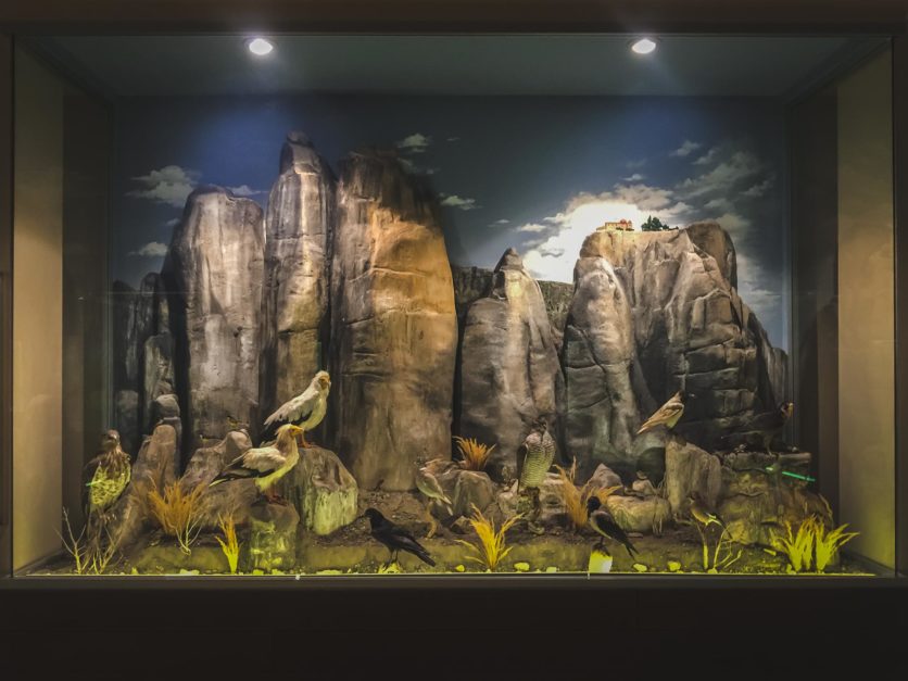 what to do in meteora natural history museum