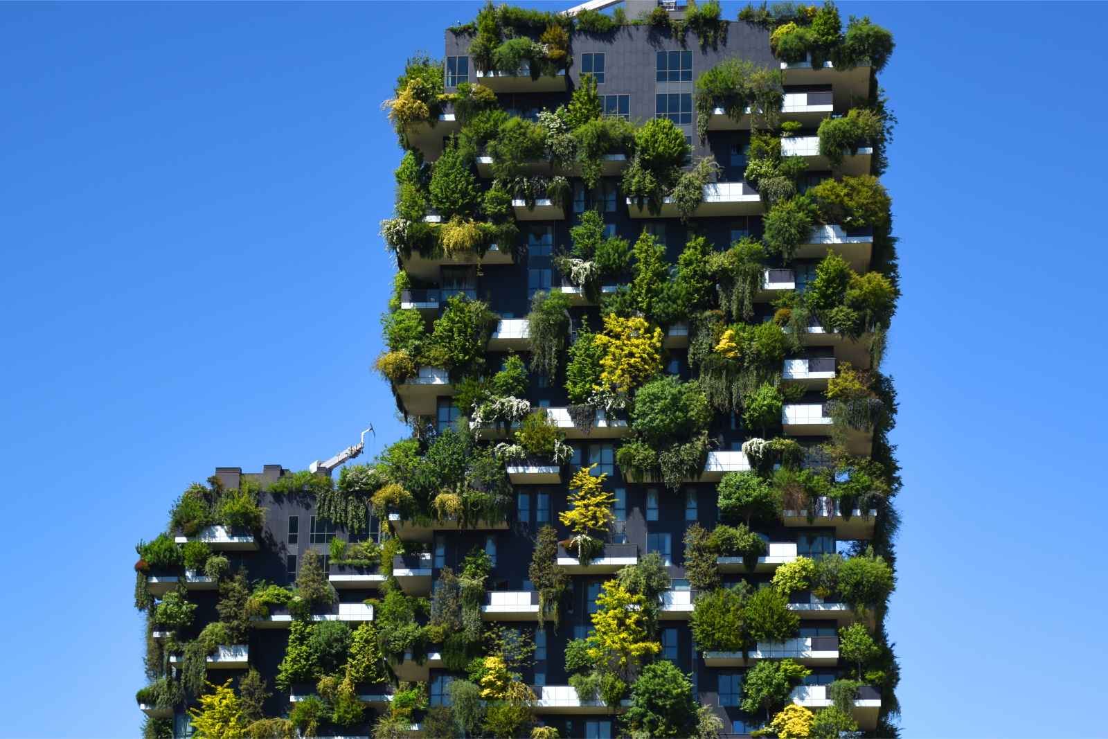 Things to do in Milan Vertical Forest