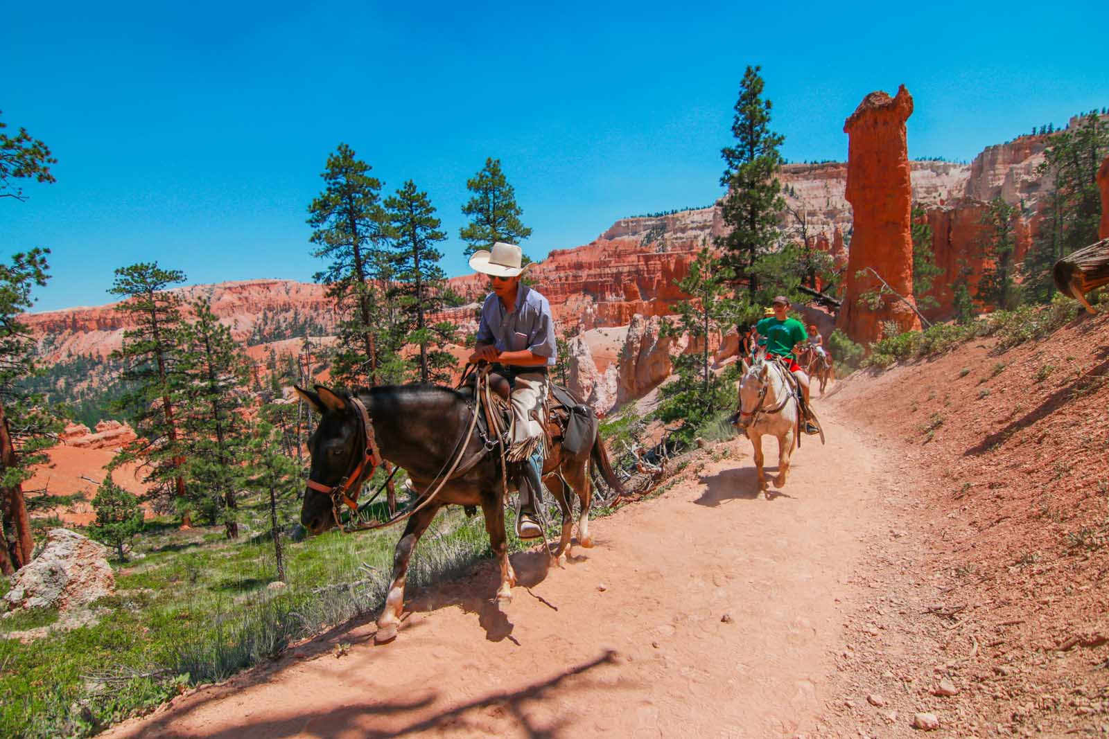 Things to do in Moab Utah Horseback Riding