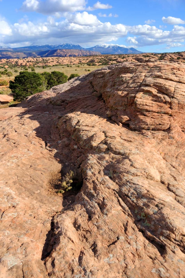 Best Things to do in Moab Sand Flats Recreation Area