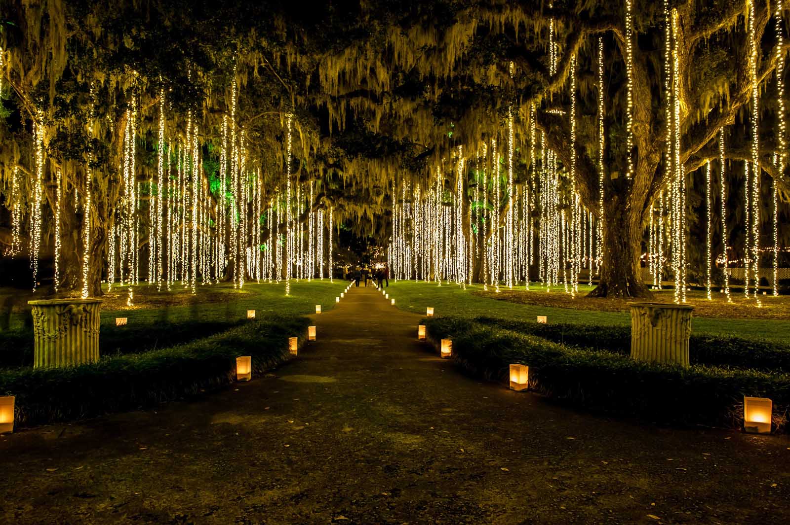 things to do in Myrtle Beach Brookgreen Gardens