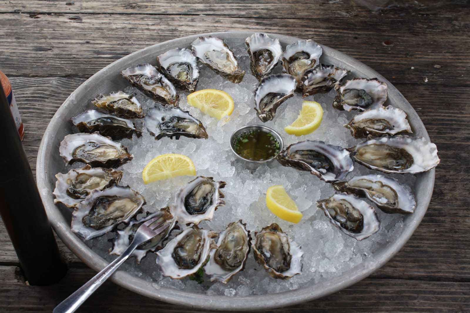 Where to eat in Napa Valley Hog Island Oyster Bar